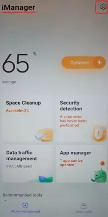 vivo11
